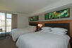Queen Guest Room