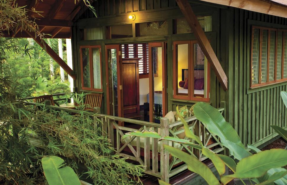 Treetop Deluxe