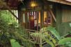Tree Top Suite