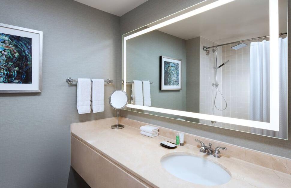 Traditional Guest Room Bathroom