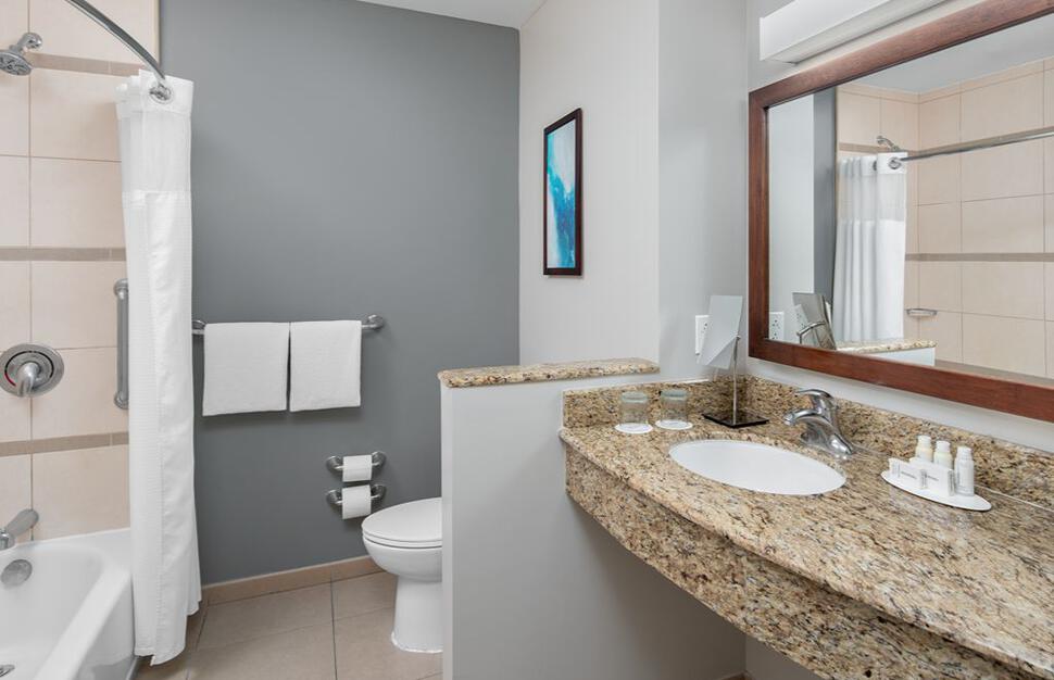 Standard guest bathroom