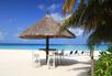 Turtle Beach Bar