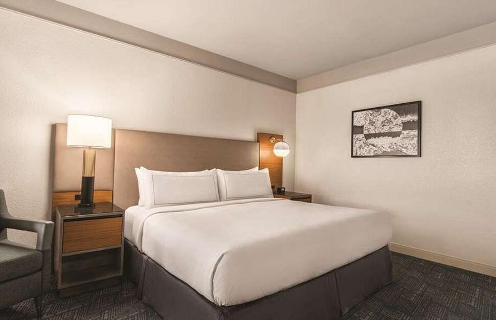 One King Bed Suite