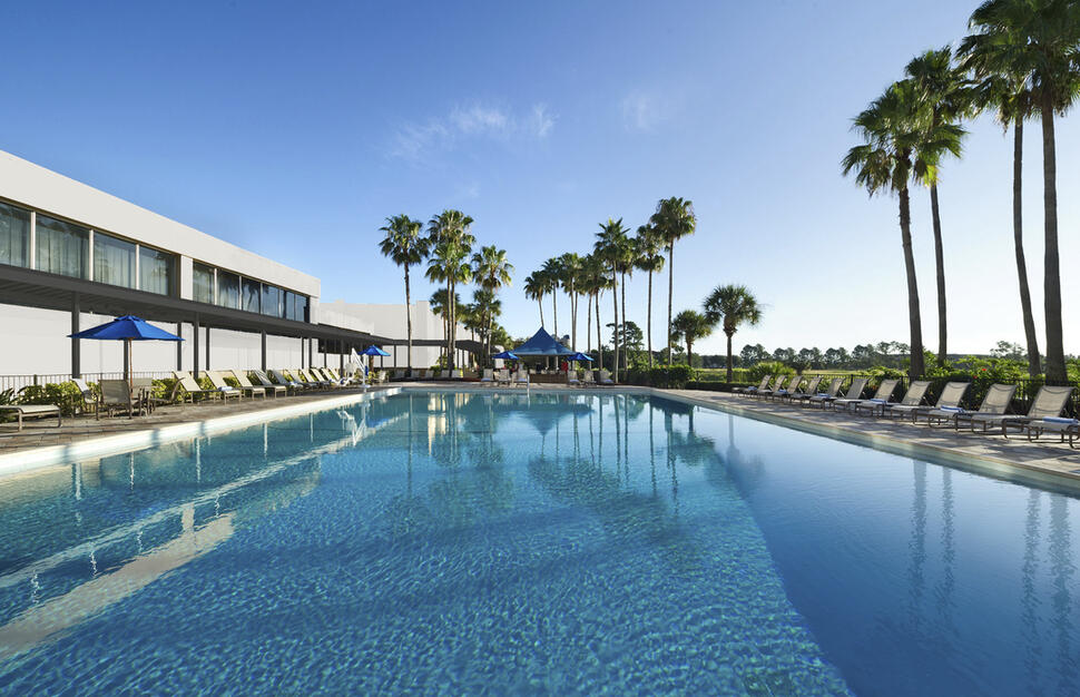 Swimming pool, sunloungers, palm trees, hotel gardens