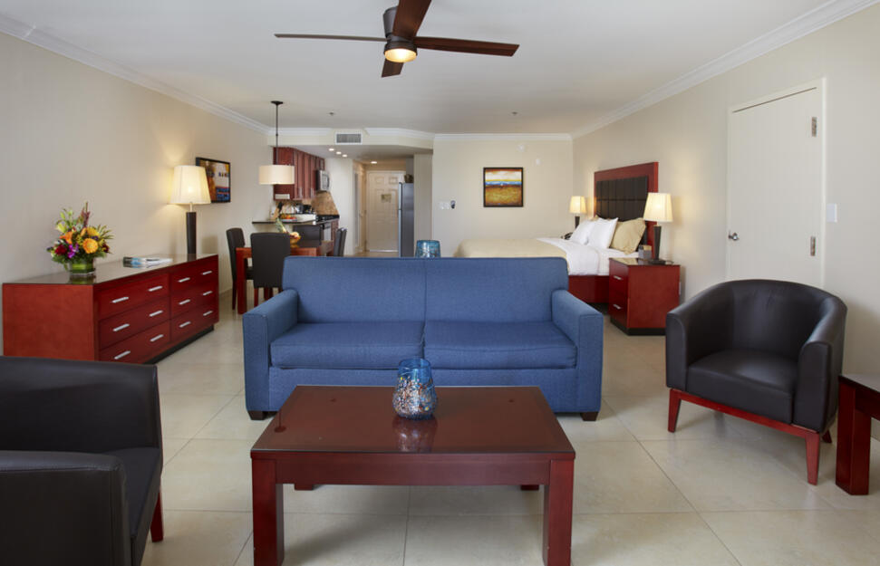 One Bedroom Suite