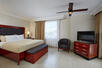 Studio Suite