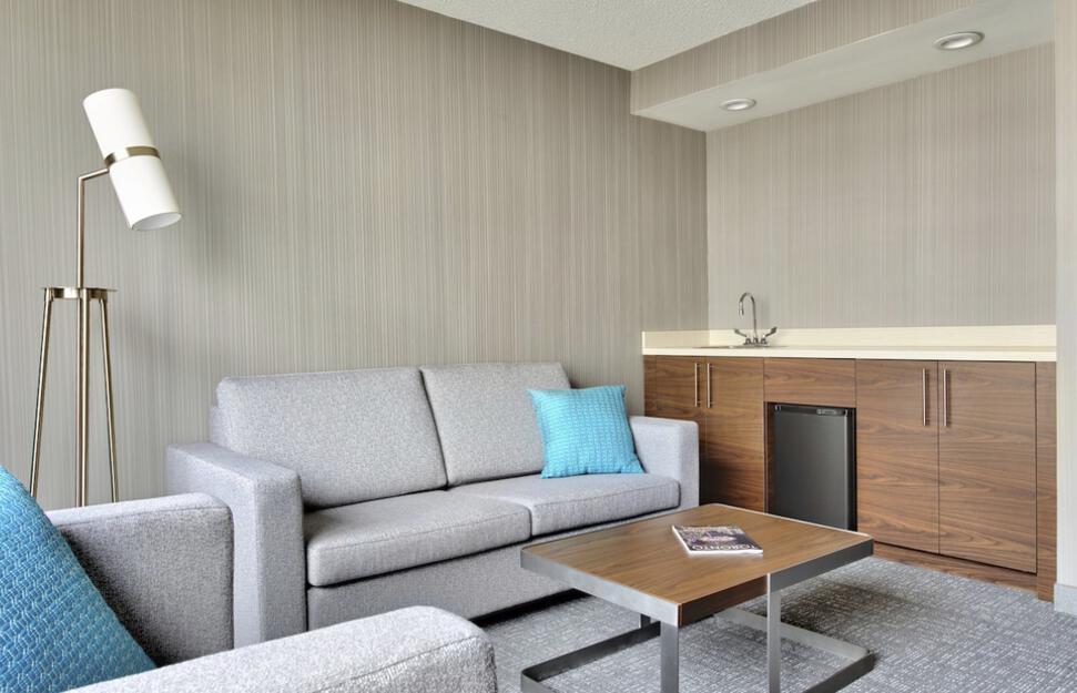 1-Bedroom Suite