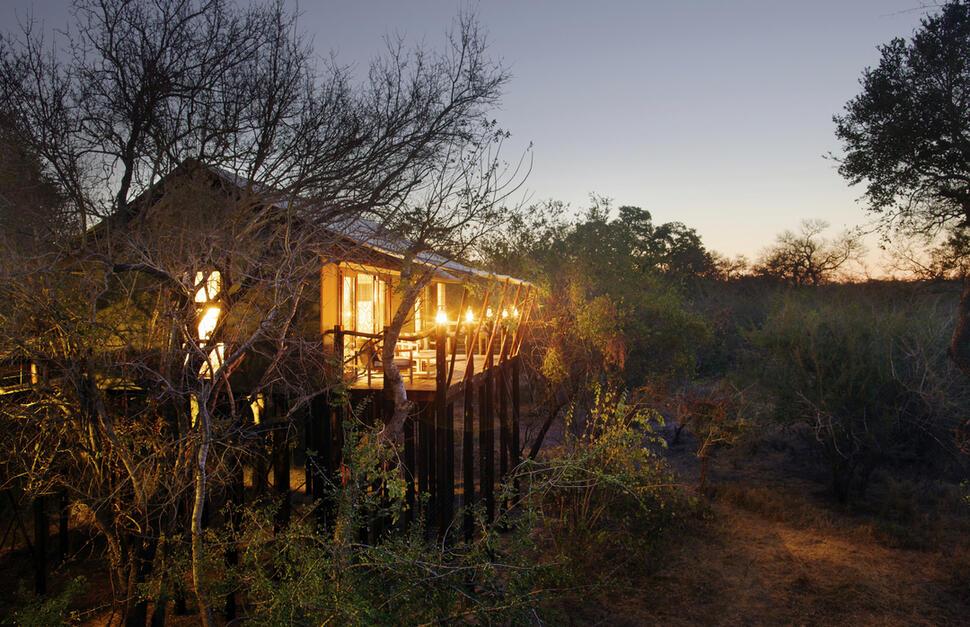 Buffalo Camp