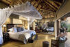 Tinga Suite