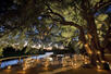 Tinga Lodge