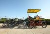 Bike Rentals