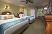 Standard View Room