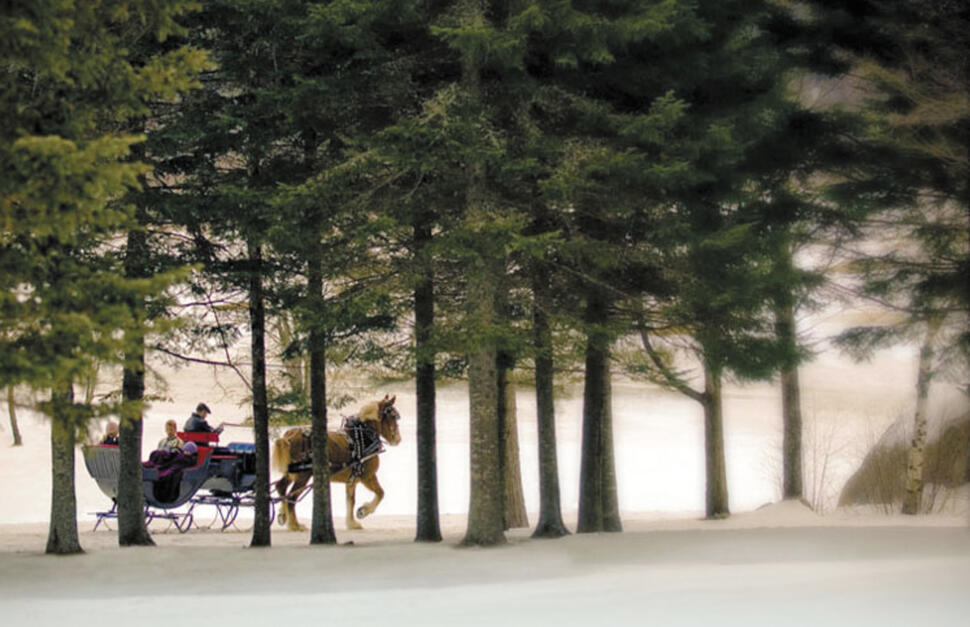 Sleigh ride