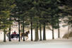 Sleigh ride