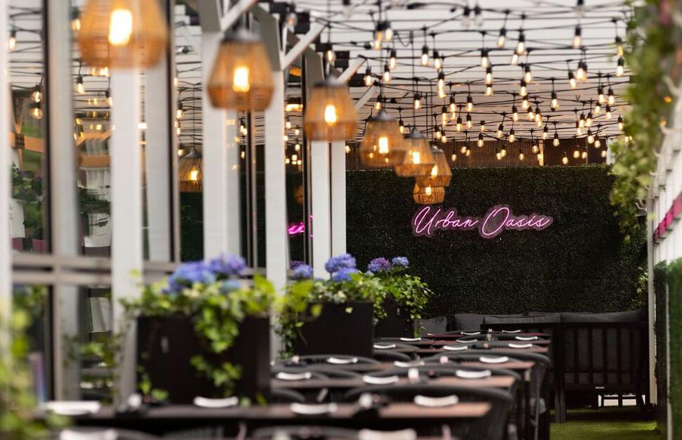 W Urban Oasis
