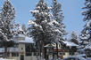 Alpenhof Lodge