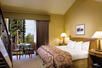Queen Hotel Room