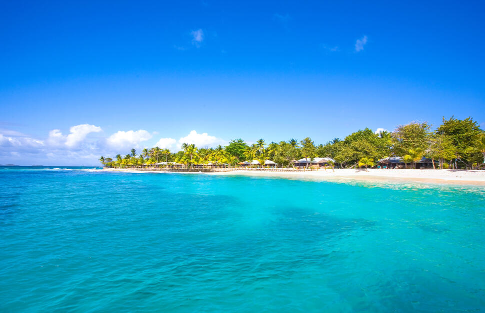 Palm Island