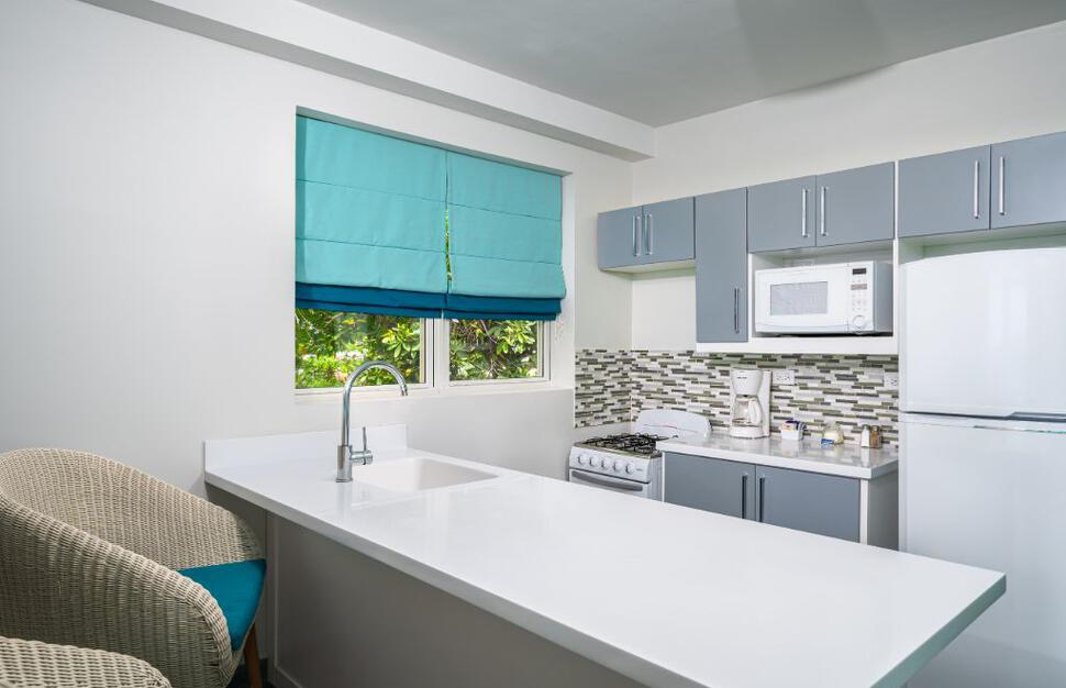 One Bedroom Suite Kitchen