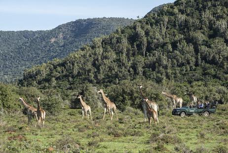 Ukhozi Lodge