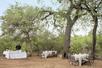 Bush breakfast
