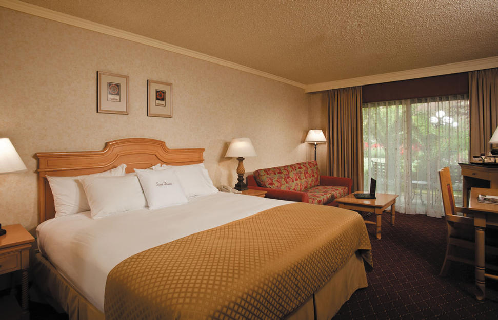 Standard King Bed Room