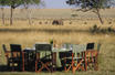 Elephants at Governor's Camp