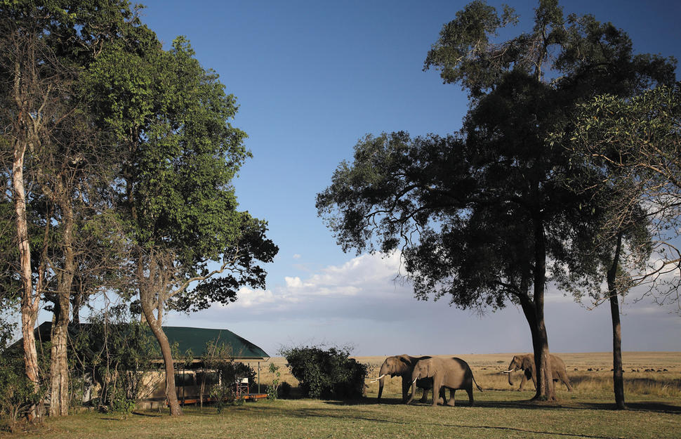 Governor's Camp
