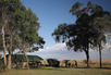Governor's Camp
