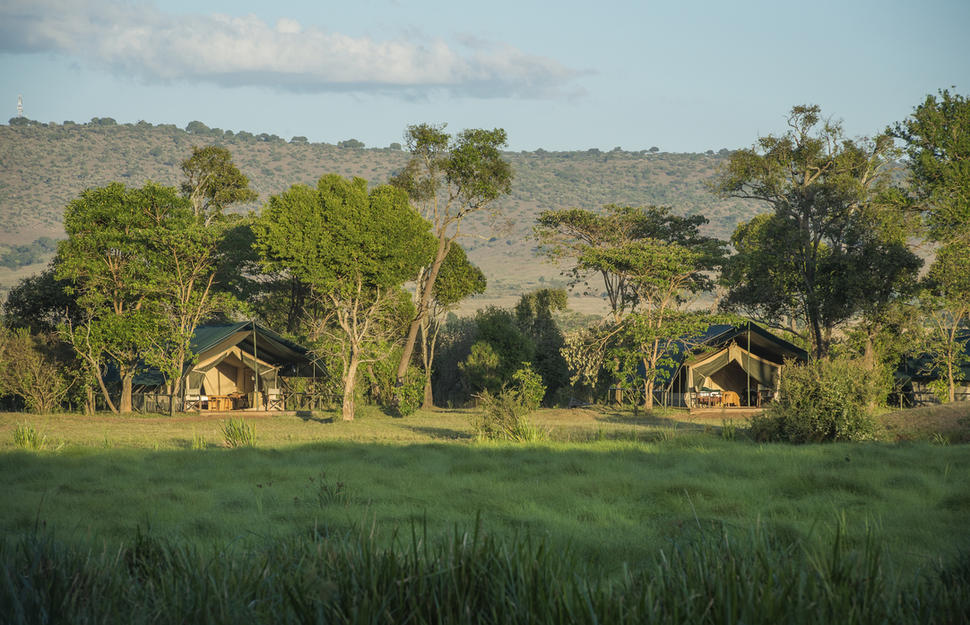 Little Governors’ Camp