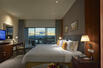Mountain View Room
