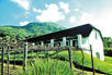 Terrace Suite & Paarl Rock