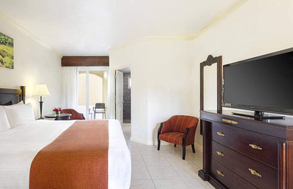 Premier Guest Room