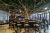 Tree Bar