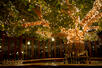 Emerald Tree Lounge