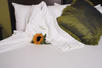 King Room, The Hotel Highland at Five Points South, Alabama, Southern USA