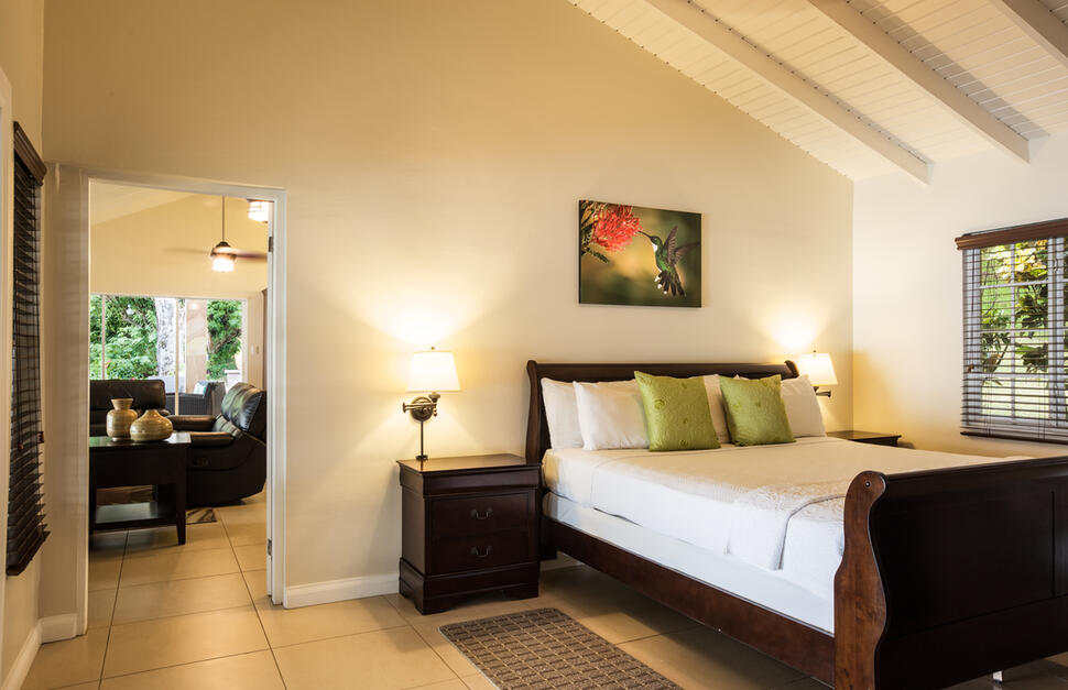 Beachfront Deluxe Studio
