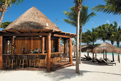 Barracuda Bar