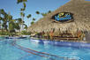 Manatees Swim Up Pool Bar