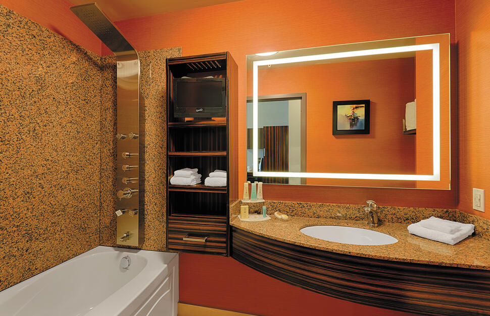 Guestroom bathroom