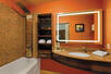 Guestroom bathroom