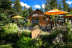 Mountain Cafe