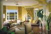 Studio Suite