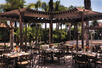SHOR American Seafood Grill