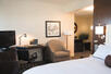 Deluxe Queen Room, The Ellis Hotel, Atlanta, Georgia, Southern USA