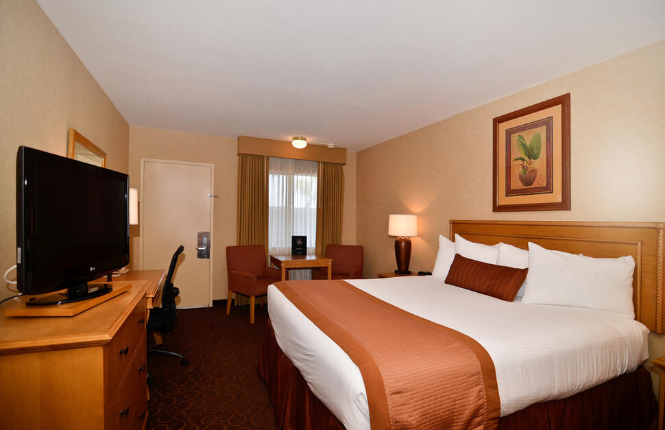 Standard King Room