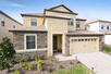 Typical 9-Bedroom house swimming pool and terrace