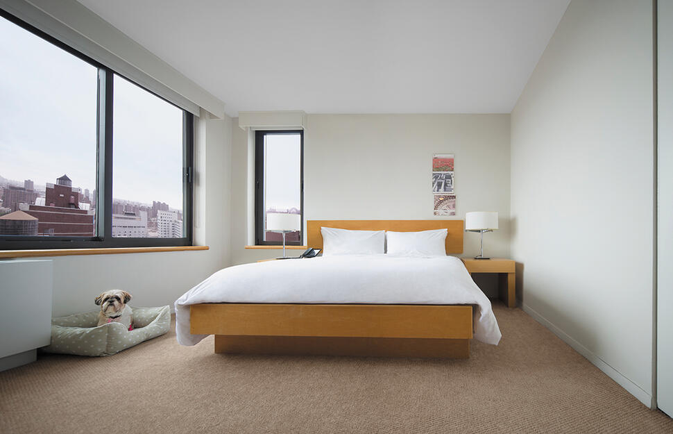 3 Bedroom Suite