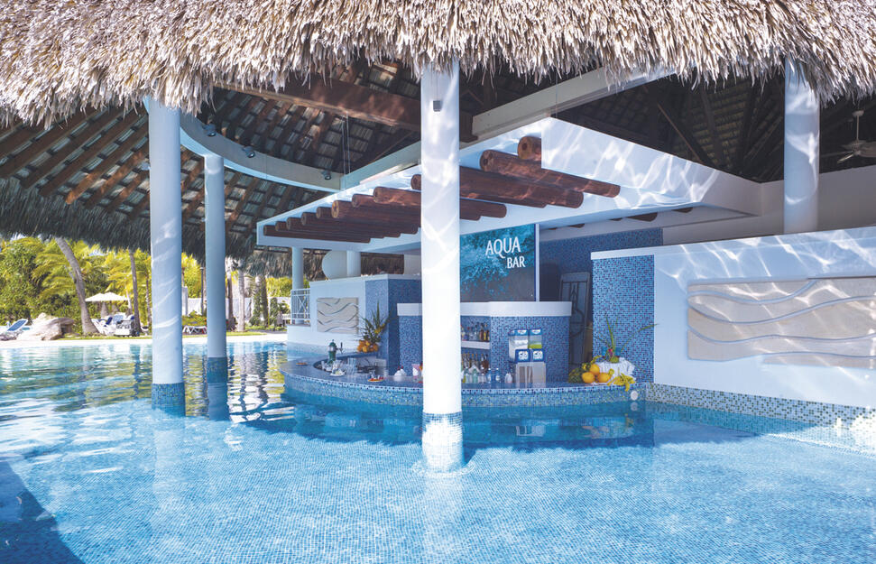 Dips Pool Bar