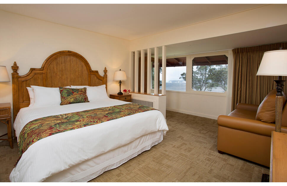 Standard King Guestroom